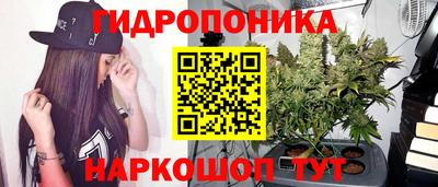 эйфоретик Усть-Джегута